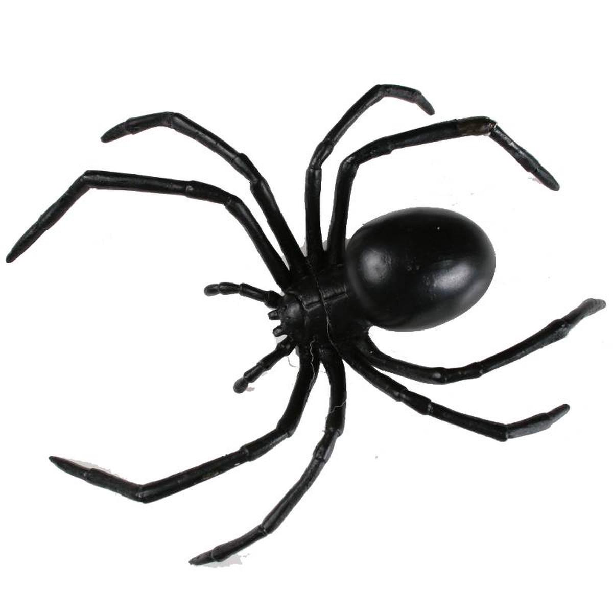 6 Rubber Black Widow Spider