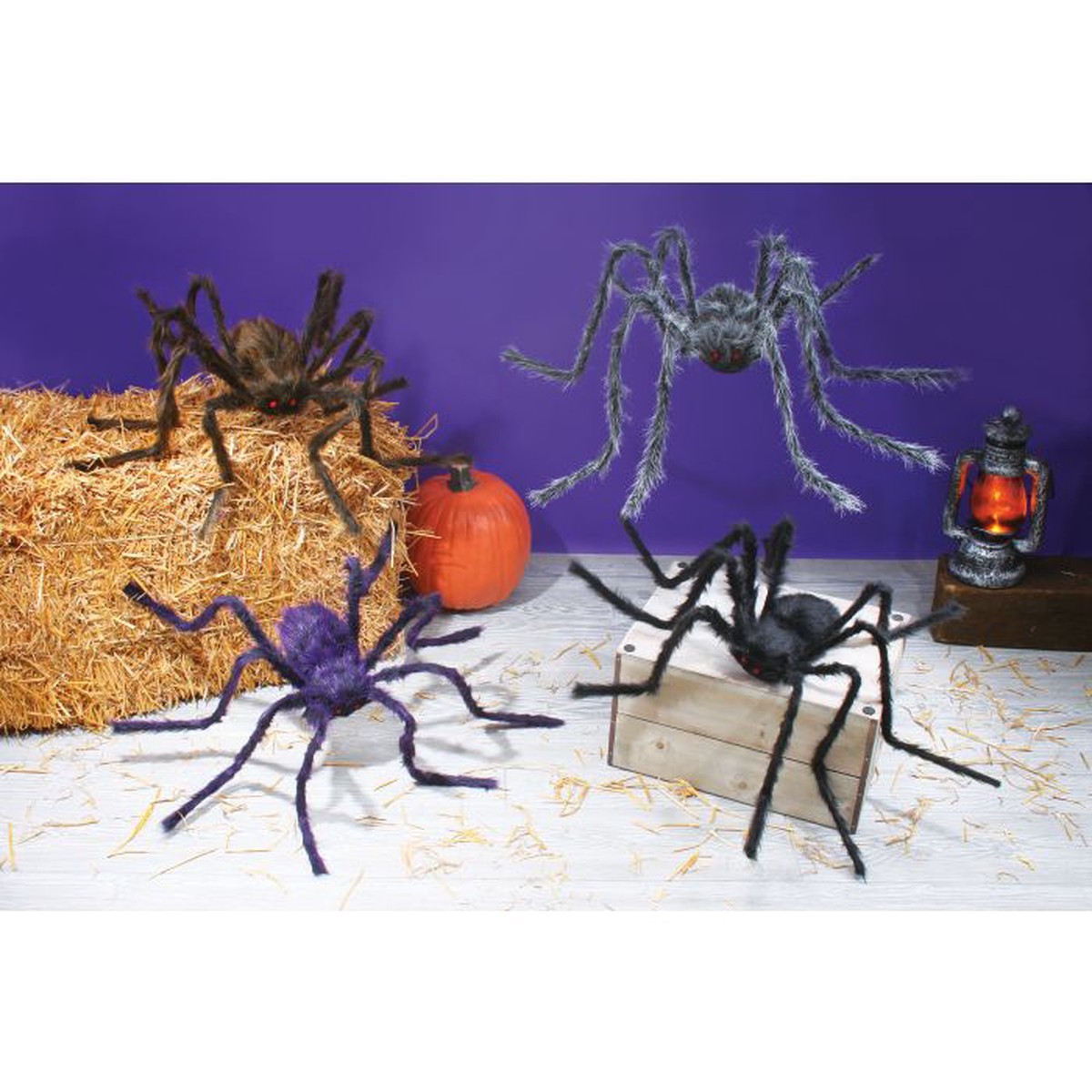 50 Hairy Spider