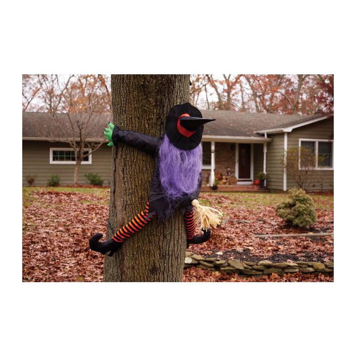 36 Wrong Way Witch Tree Hugger