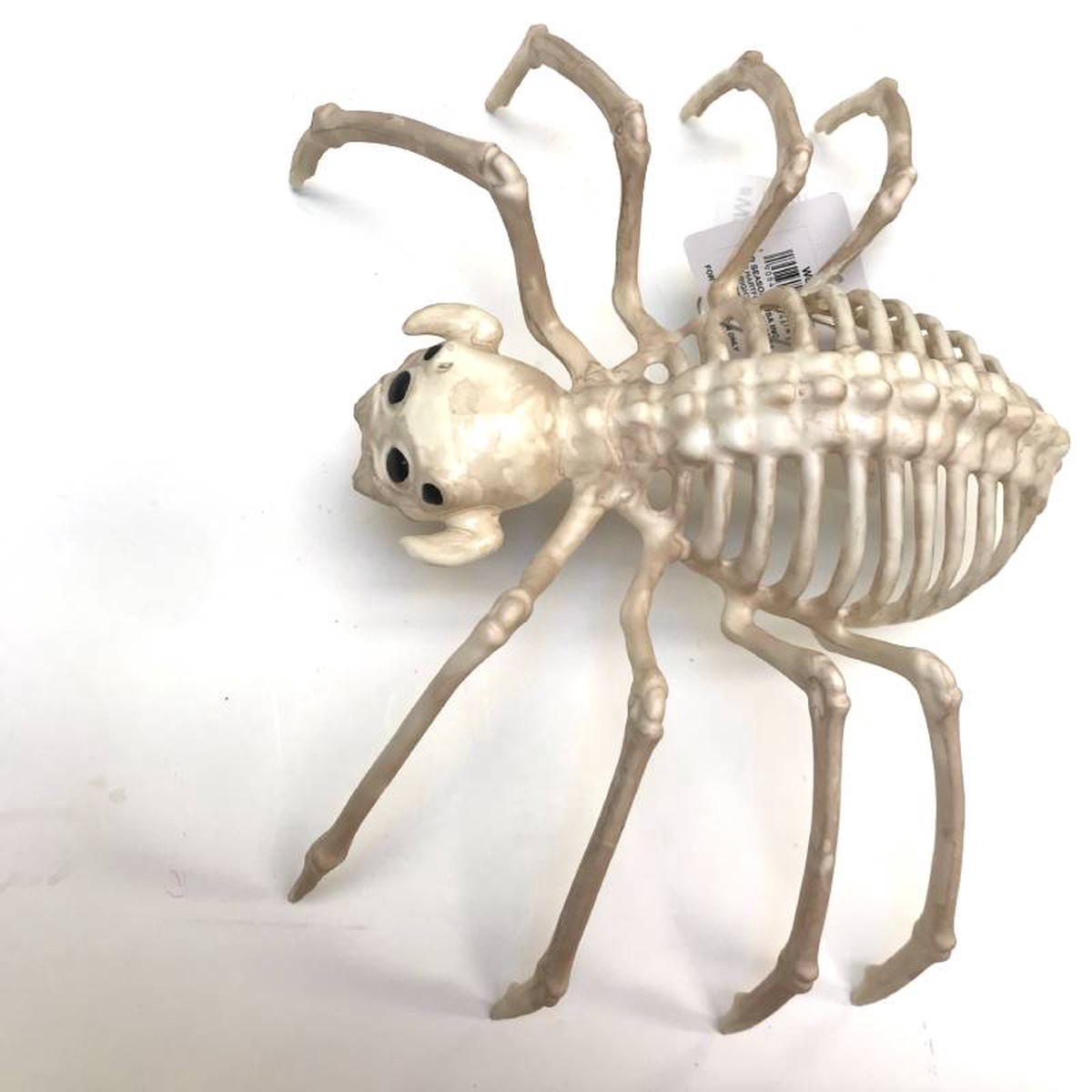 14 Costume Plastic Skeleton Spider