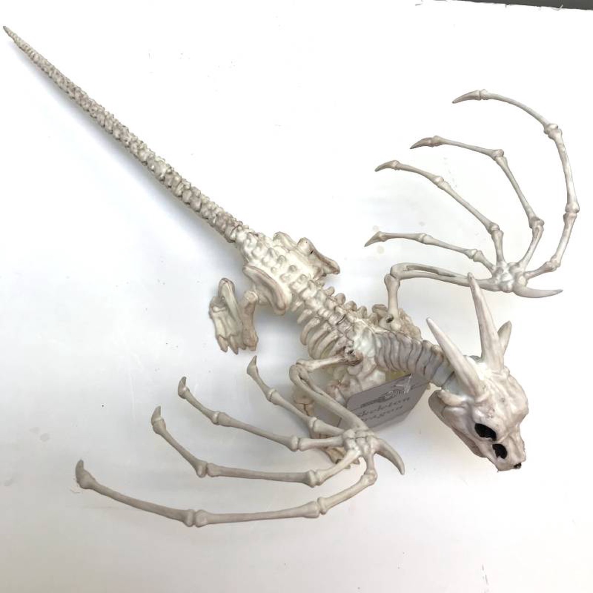 15 Costume Plastic Skeleton Dragon